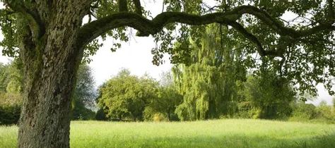 blog-1